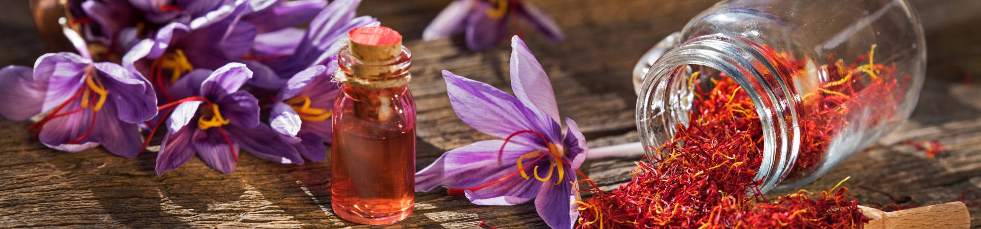 28. Bauernmarkt am Naturschutzzentrum