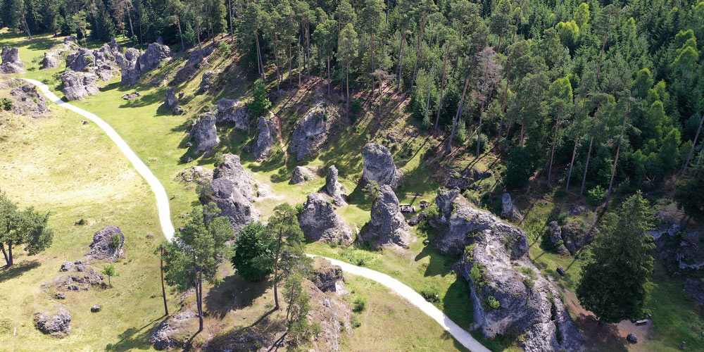 Drohnenaufnahme von Wald, Wiesenfläche und Felsen
