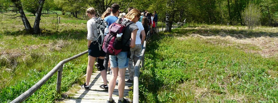 Gruppenteilnehmer auf einem Steg im Schopflocher Moor