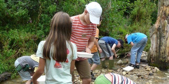 Kinder erforschen das Leben im Bach