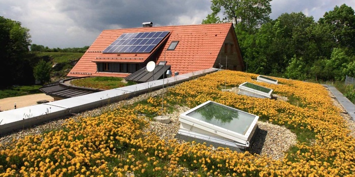 Begrüntes Dach des Naturschutzzentrums