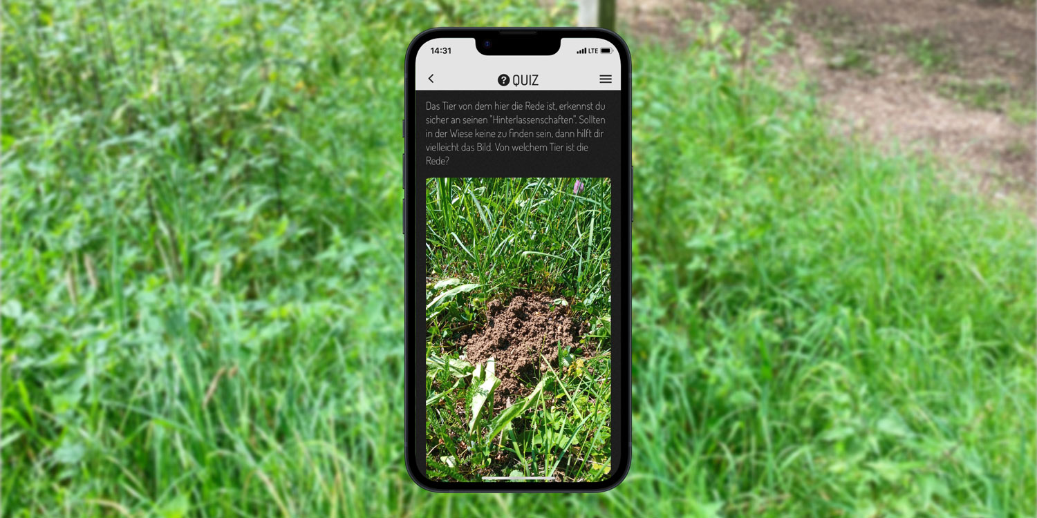 Screenshot der Actionbound-App mit Quiz-Frage vor einem Hintergrundbild mit einer Wiese