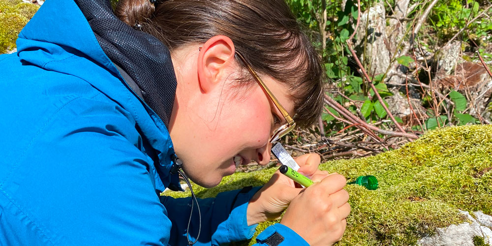 Junge Frau löst das Rätsel beim Geocache.