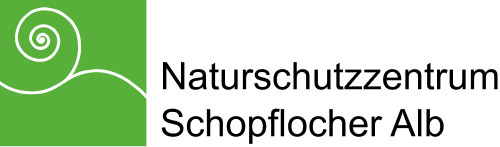 logo site